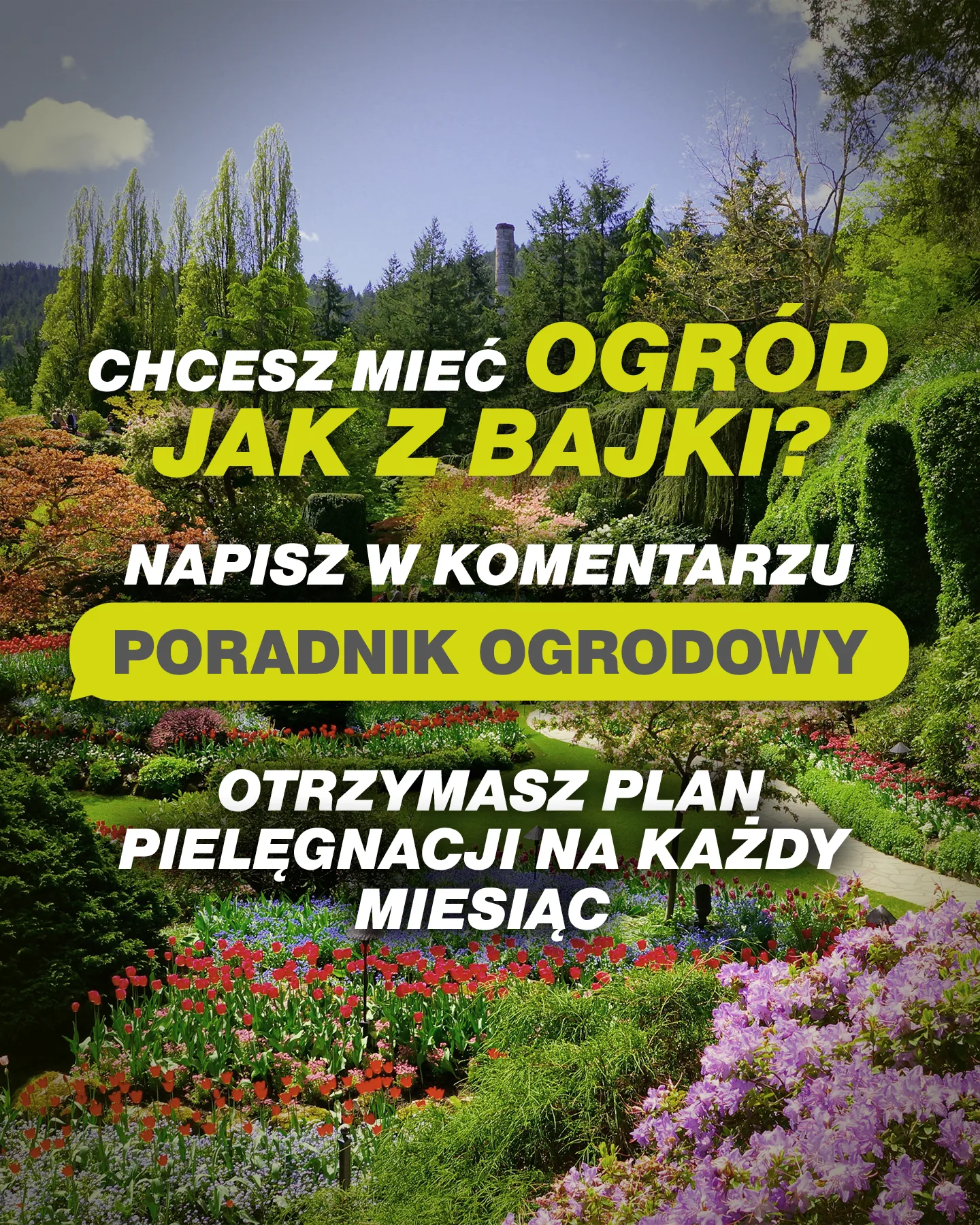 Manychat kampania ryobi